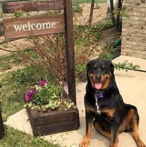 Meet your Posher, Isabel